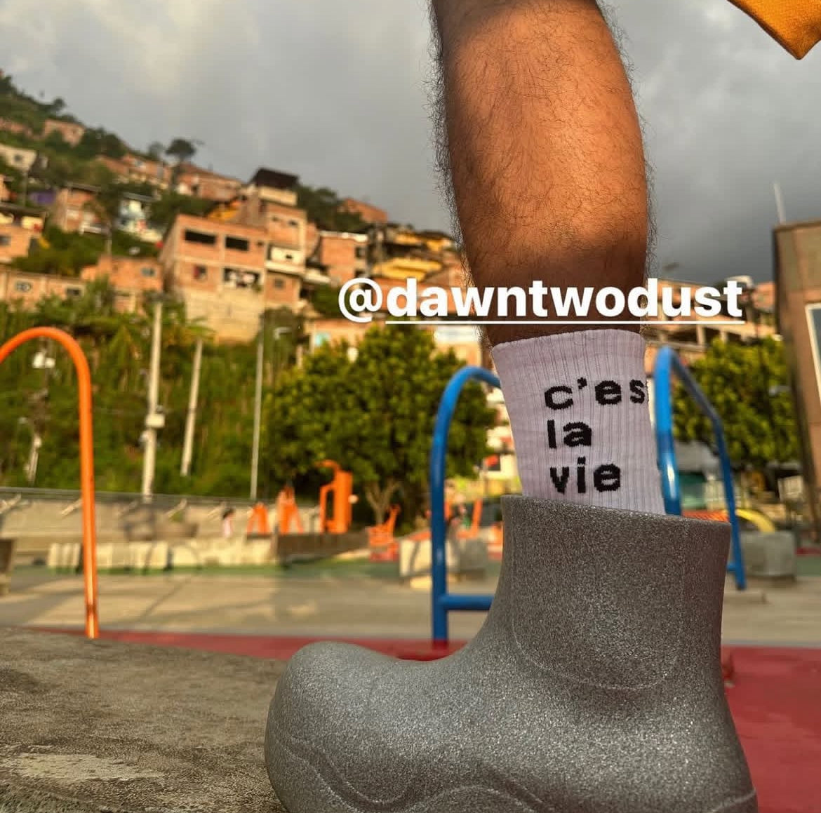 Cest La Vie socks Vo1.2